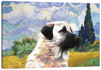 Anatolian Shepherd Dog Wheat Field With Cypresses Canvas Art Print - Nobility Dogs