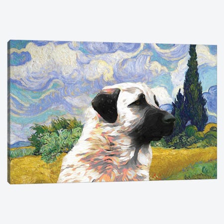 Anatolian Shepherd Dog Wheat Field With Cypresses Canvas Print #NDG89} by Nobility Dogs Canvas Wall Art