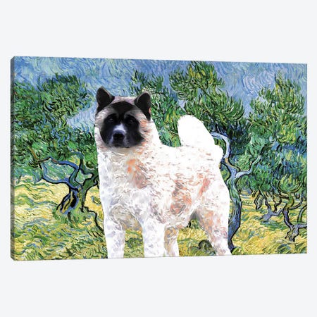 American Akita Olive Grove Canvas Print #NDG902} by Nobility Dogs Canvas Print
