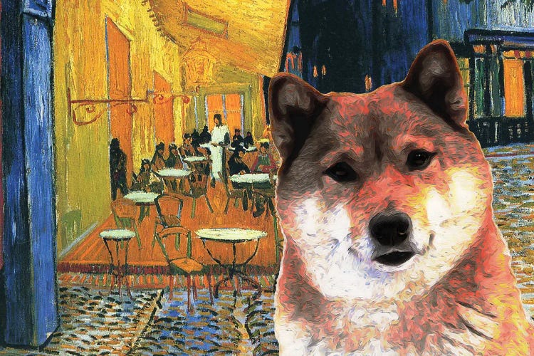 Shiba Inu Café Terrace At Night