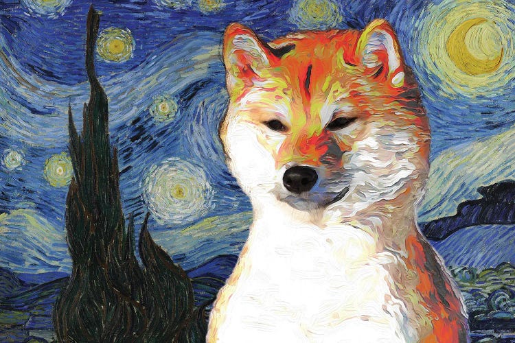 Shiba Inu The Starry Night