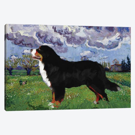 Bernese Mountain Dog Meadow With Flowers Canvas Print #NDG90} by Nobility Dogs Canvas Art Print