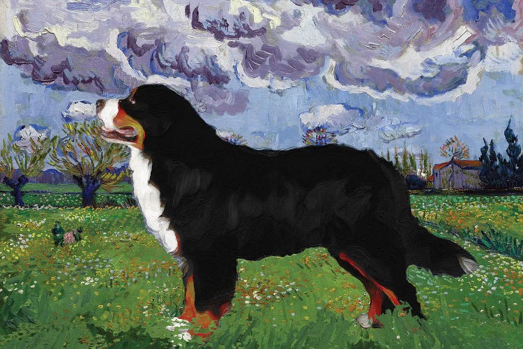 Bernese Mountain Dog Meadow With Flowers