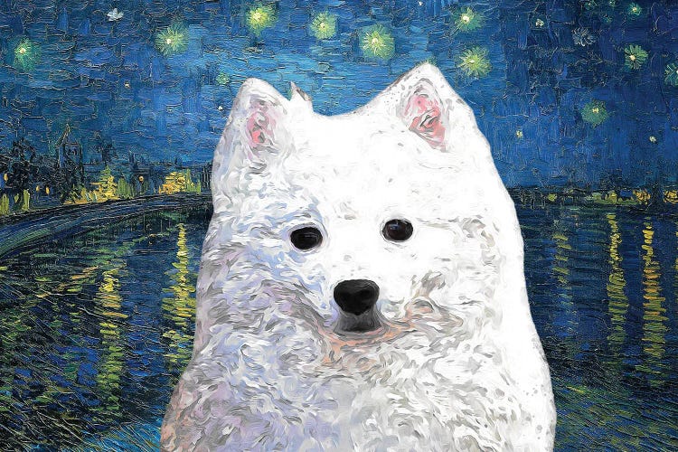 American Eskimo Dog Starry Night Over The Rhone