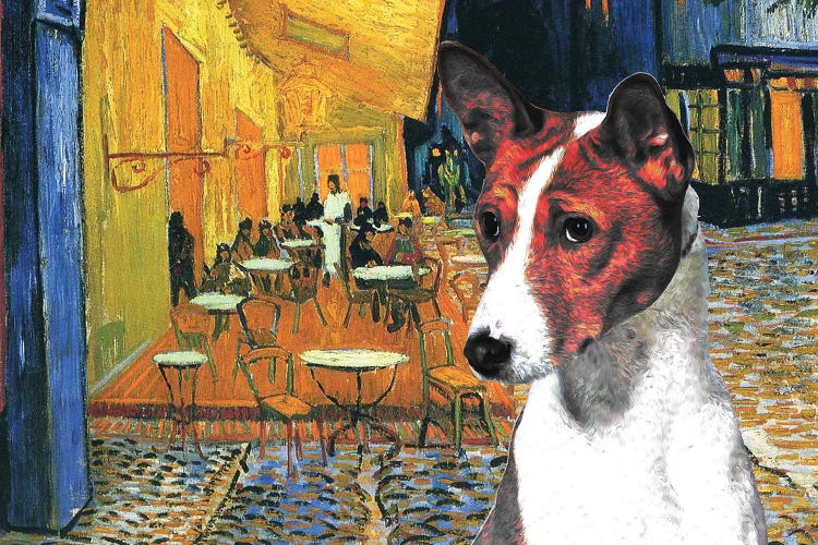 Basenji Café Terrace At Night