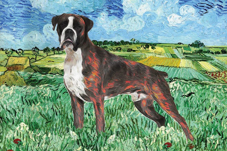 Boxer Dog The Plain Near Auvers