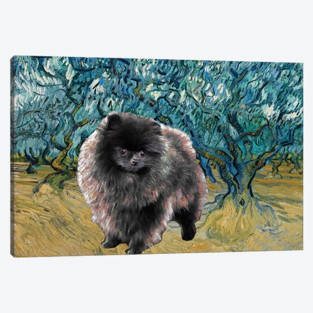 Pomeranian Olive Orchard Canvas Print #NDG941} by Nobility Dogs Art Print