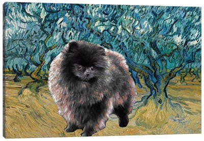 Pomeranian Olive Orchard Canvas Art Print - Pomeranian Art
