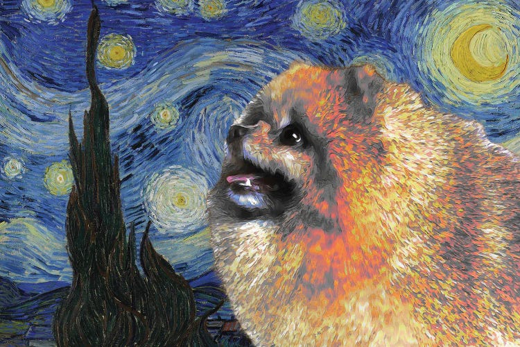 Pomeranian Starry Night