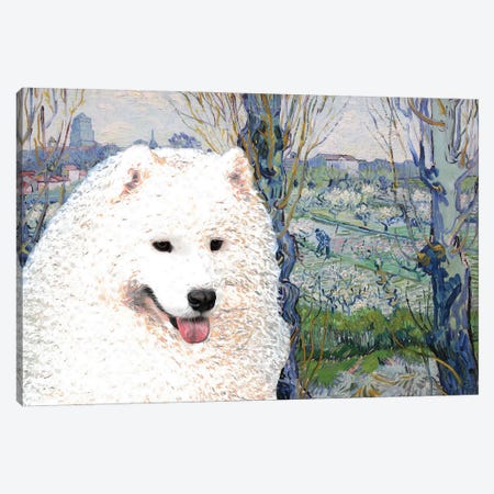 Samoyed Orchard In Blossom Canvas Print #NDG948} by Nobility Dogs Art Print
