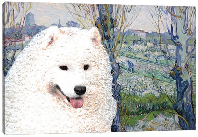 Samoyed Orchard In Blossom Canvas Art Print