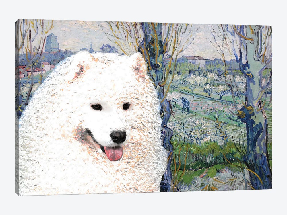 Samoyed Orchard In Blossom by Nobility Dogs 1-piece Canvas Wall Art