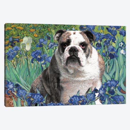 English Bulldog Irises Canvas Print #NDG94} by Nobility Dogs Canvas Wall Art