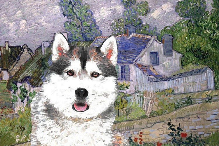 Siberian Husky Houses At Auvers