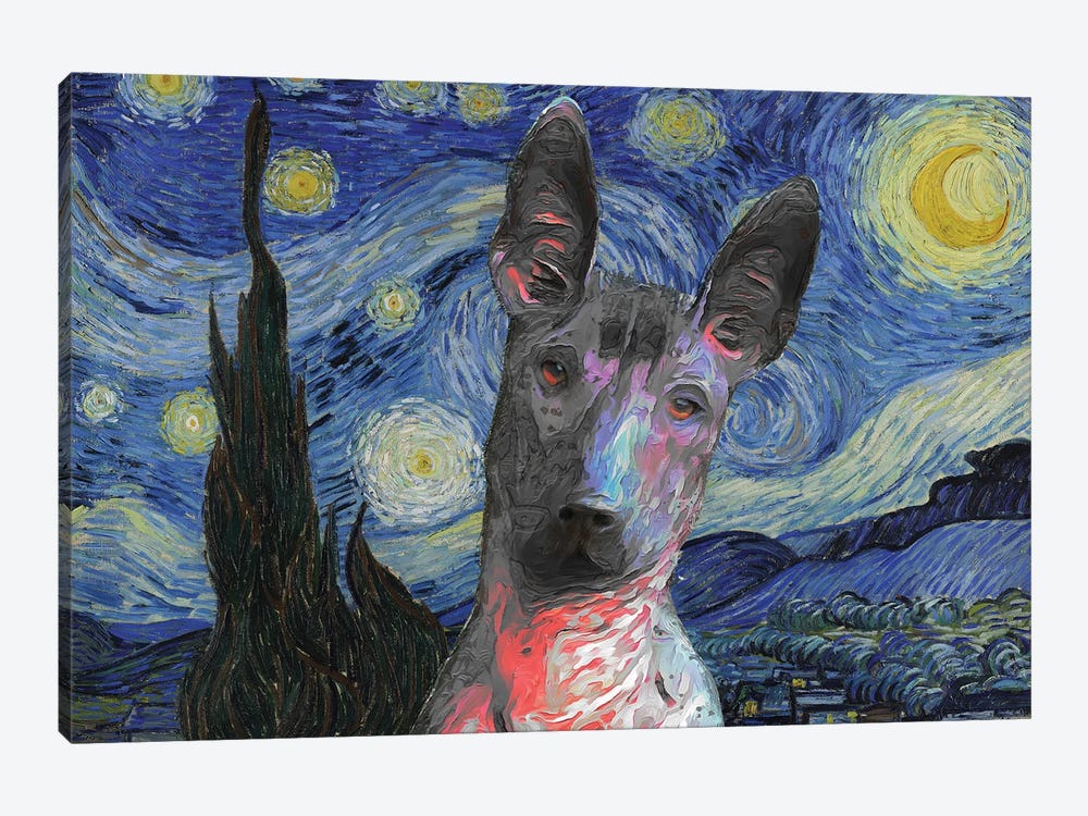 Xoloitzcuintli Starry Night by Nobility Dogs 1-piece Canvas Wall Art