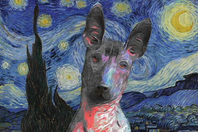 Xoloitzcuintli Starry Night