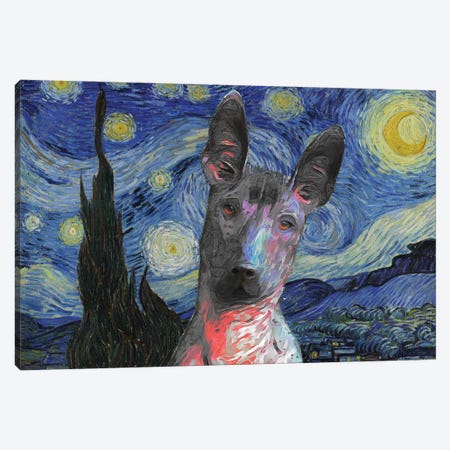 Xoloitzcuintli Starry Night Canvas Print #NDG957} by Nobility Dogs Canvas Print