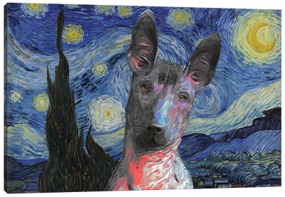 Xoloitzcuintli Starry Night Canvas Art Print - Nobility Dogs