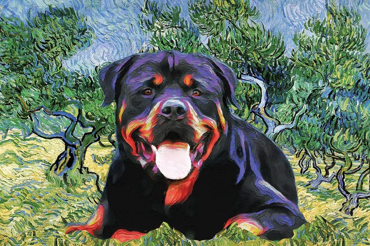 Rottweiler Olive Grove