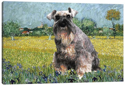 Schnauzer View Of Arles With Irises Canvas Art Print - Provence
