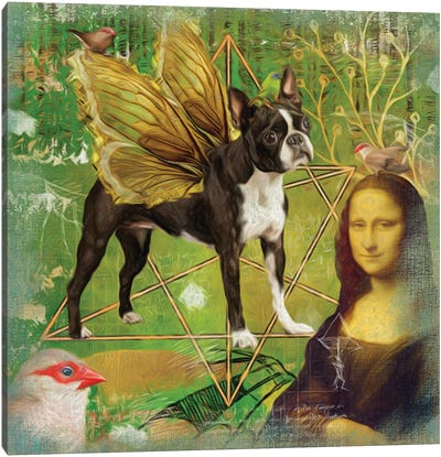Boston Terrier Angel Da Vinci Canvas Art Print - Boston Terrier Art