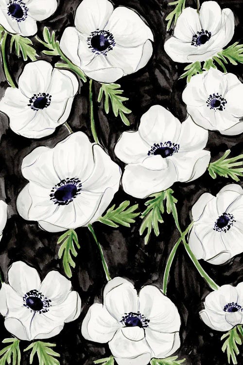 Panda Anemones by Nadine de Almeida wall art