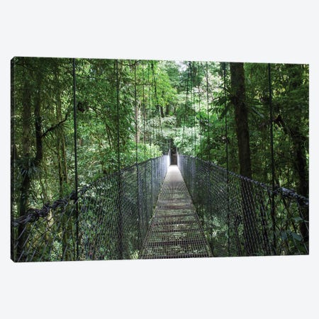 Mistico Arenal Hanging Bridges Park in Arenal, Costa Rica. Canvas Print #NDS11} by Michele Niles Art Print