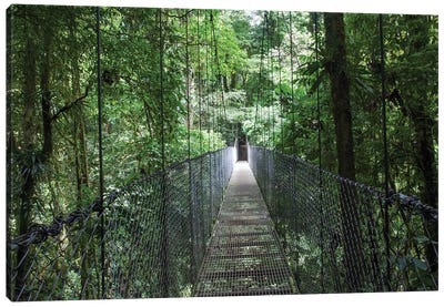 Mistico Arenal Hanging Bridges Park in Arenal, Costa Rica. Canvas Art Print - Central America