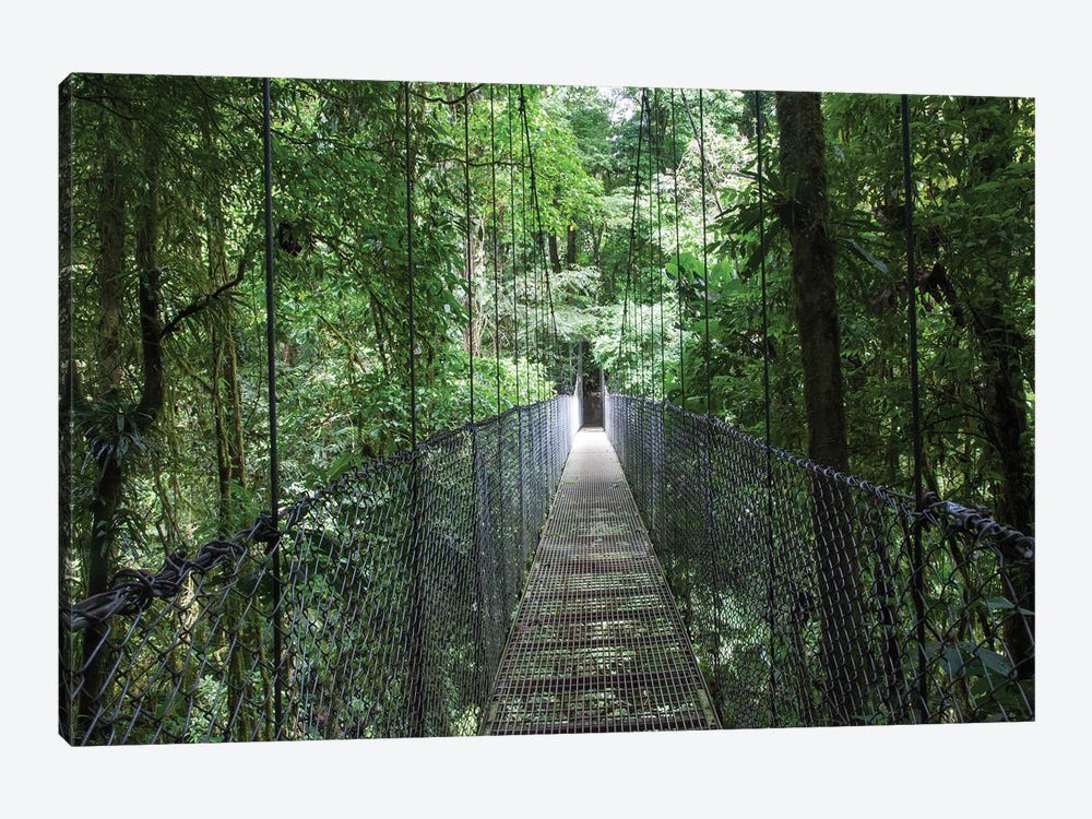 Mistico Arenal Hanging Bridges Park in Arenal, Costa Rica. by Michele Niles 1-piece Canvas Artwork