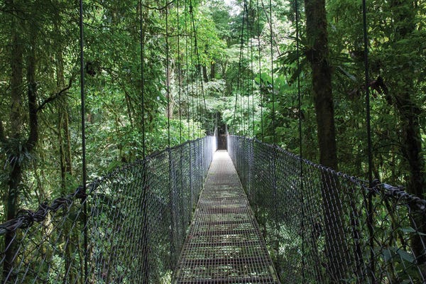 Central America: Mistico Arenal Hanging Bridges Park in Arenal, Costa Rica. by Michele Niles