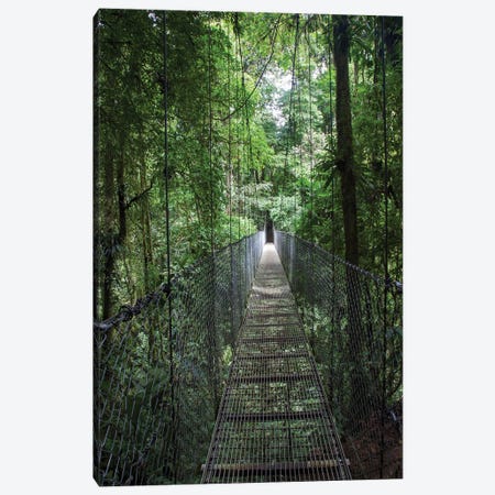 Mistico Arenal Hanging Bridges Park in Arenal, Costa Rica. Canvas Print #NDS12} by Michele Niles Art Print