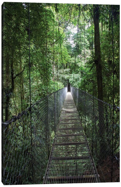 Mistico Arenal Hanging Bridges Park in Arenal, Costa Rica. Canvas Art Print - Central America