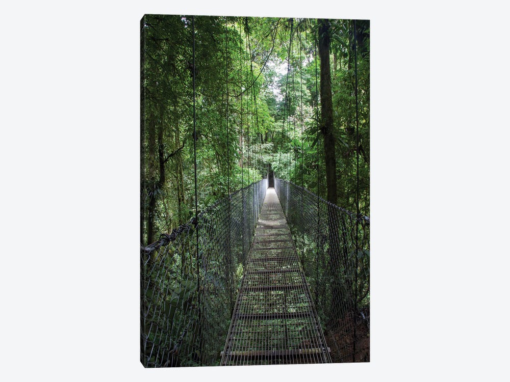 Mistico Arenal Hanging Bridges Park in Arenal, Costa Rica. by Michele Niles 1-piece Canvas Print