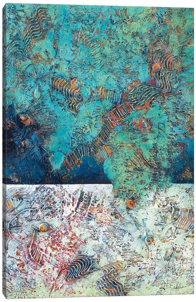 Exploring The Reef Canvas Art Print - Nancy Eckels