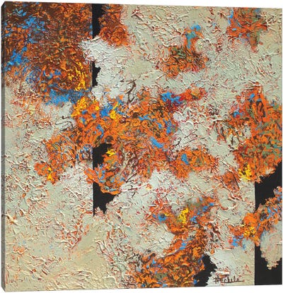 Fleeting Autumn Canvas Art Print - Nancy Eckels