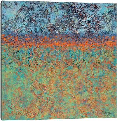 Heated Horizon Canvas Art Print - Nancy Eckels
