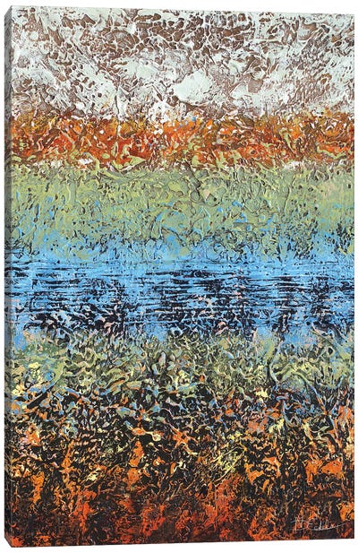 Hidden Pond Canvas Art Print - Nancy Eckels