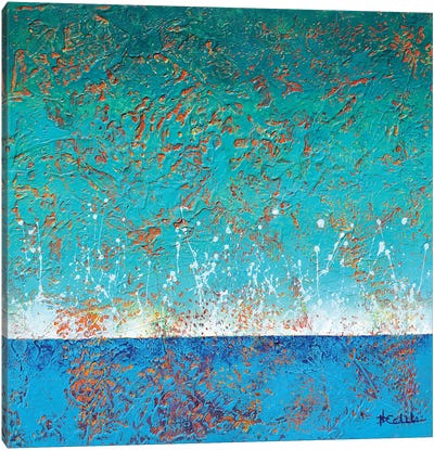 Morning Splash Canvas Art Print - Nancy Eckels