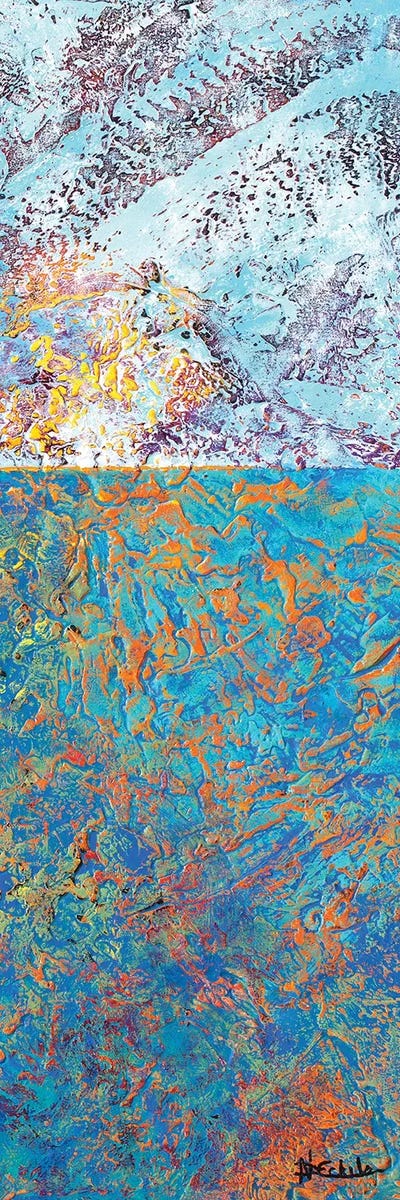 Ocean Reflections by Nancy Eckels framed canvas print