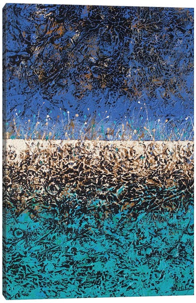 Sea Splash Canvas Art Print - Nancy Eckels