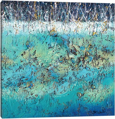 Splashes Of Bling Canvas Art Print - Nancy Eckels