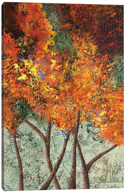 Autumn Crossroads Canvas Art Print - Nancy Eckels