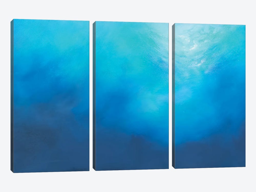 In The Element by Nina Enger 3-piece Canvas Artwork