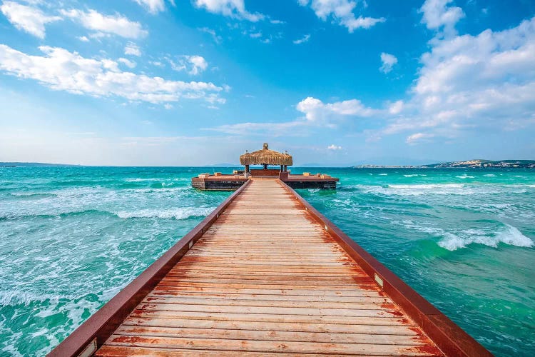 Windy Sea  by Nejdet Duzen wall art