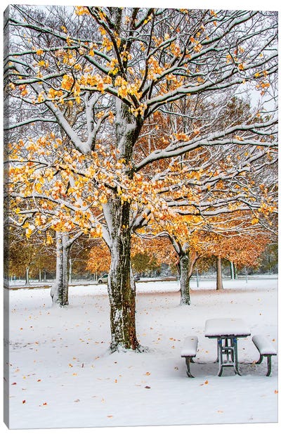 Autumn And Snow Canvas Art Print - Weather Art