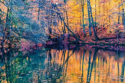 Light Of Autumn by Nejdet Duzen canvas print