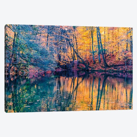 Light Of Autumn Canvas Print #NEJ140} by Nejdet Duzen Canvas Wall Art