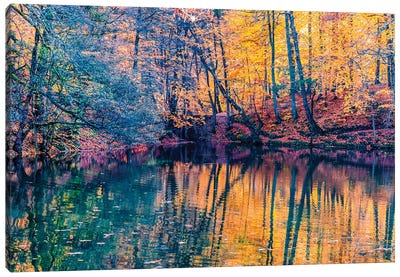 Light Of Autumn Canvas Art Print - Nejdet Duzen