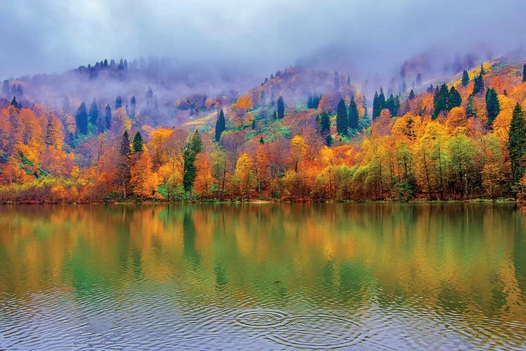 Lake Reflections