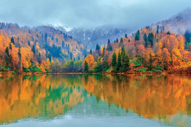 Beauty Of Autumn by Nejdet Duzen wall art